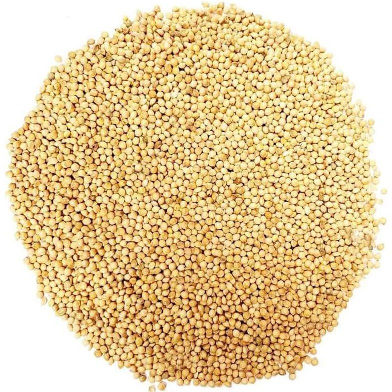 kBr68zmZT85L_D0u دانه ارزن ایرانی